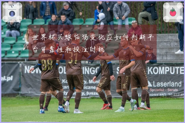 世界杯买球临场变化应如何判断平台可靠性和投注时机
